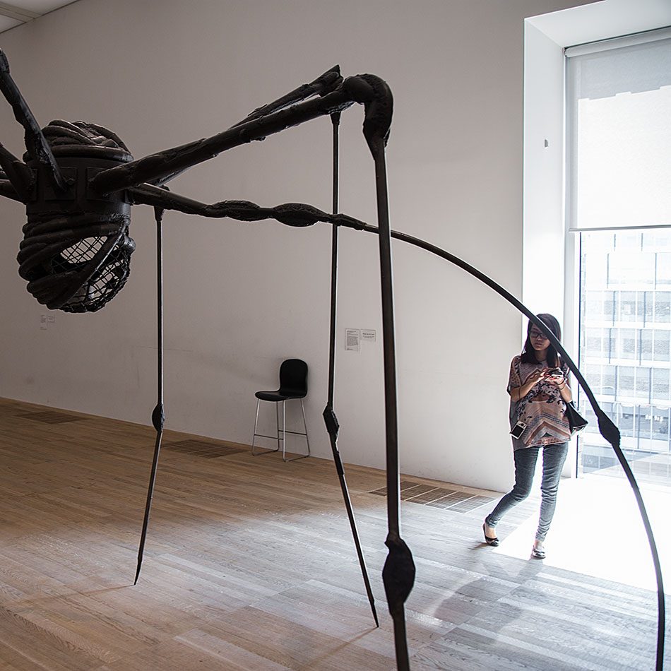 Fabian Fröhlich, Tate Modern, Louise Bourgeois, Spider