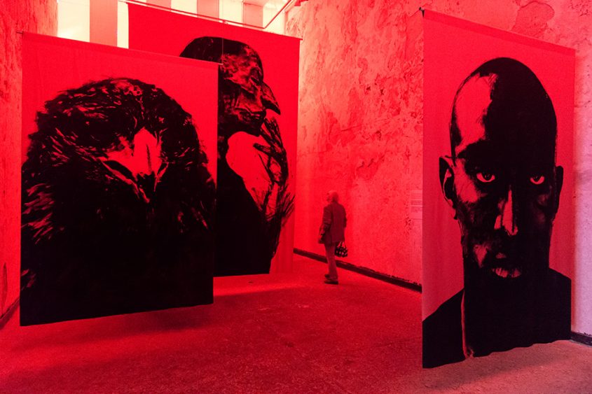 Fabian Fröhlich, Biennale di Venezia, 2019, Giardini, Venezuelan Pavilion, Ricardo García
