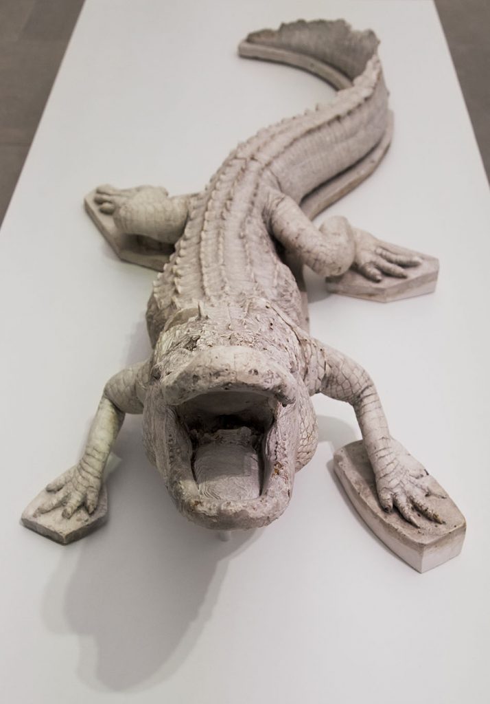 Ausstellung Nah, am Leben, 200 Jahre Gipsformerei, James-Simon-Galerie, Gipsabguss Krokodil