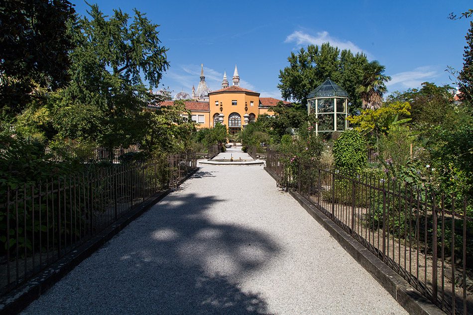 Fabian Fröhlich, Padova, Botanical Garden