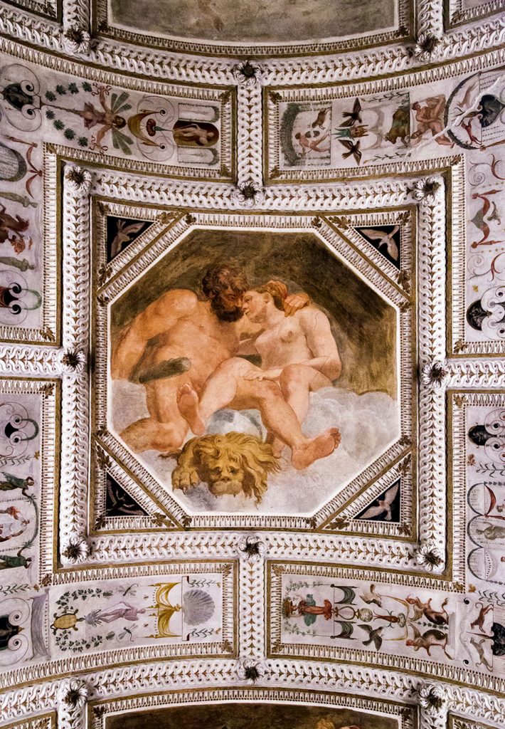 Fabian Fröhlich, Vicenza, Museo civico di Palazzo Chiericati, Stanza del Concilio degli dei, Ceiling fresco by Francisca Zelotti