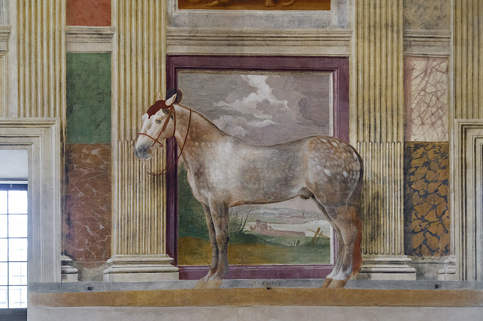 Fabian Fröhlich, Mantova, Palazzo Te, Hall of the Horses