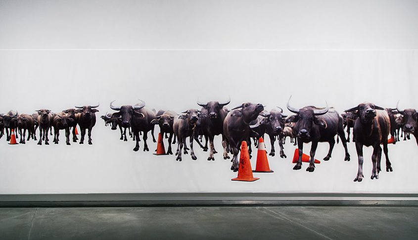 Fröhlich, Kuala Lumpur, Ilham Tower, The Body Politic and the Body", Yee, I-Lann, Kerbau