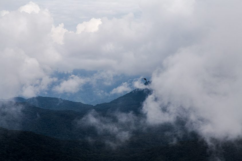 Fabian Fröhlich, Cameron Highlands, Gunung Brinchang, Mossy Forest