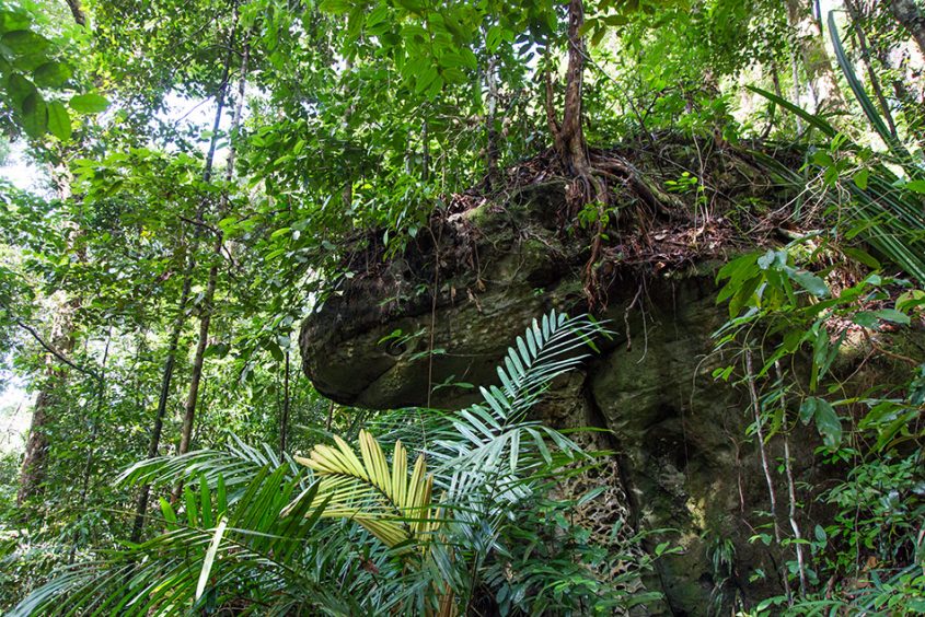 Fabian Fröhlich, Borneo, Bako National Park, Telok Delima Trail