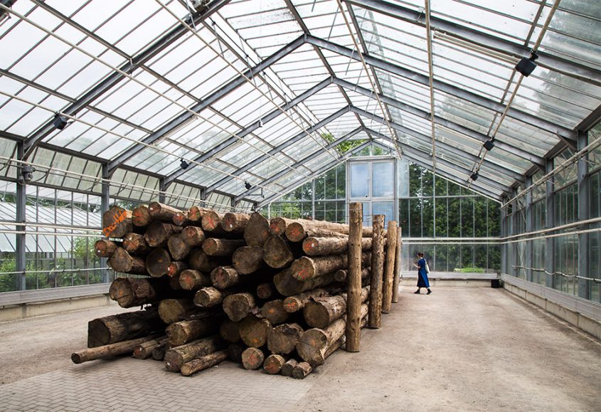 Kassel, documenta 15, Más Arte Más Acción, Whispers of the Bark Beetles (Karlsaue, Greenhouse)