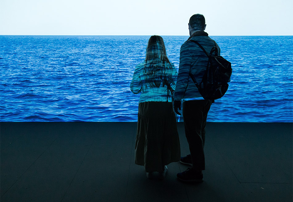 Venice Biennale 2022, Vladimir Nikolic, Walking with Water (Serbia)