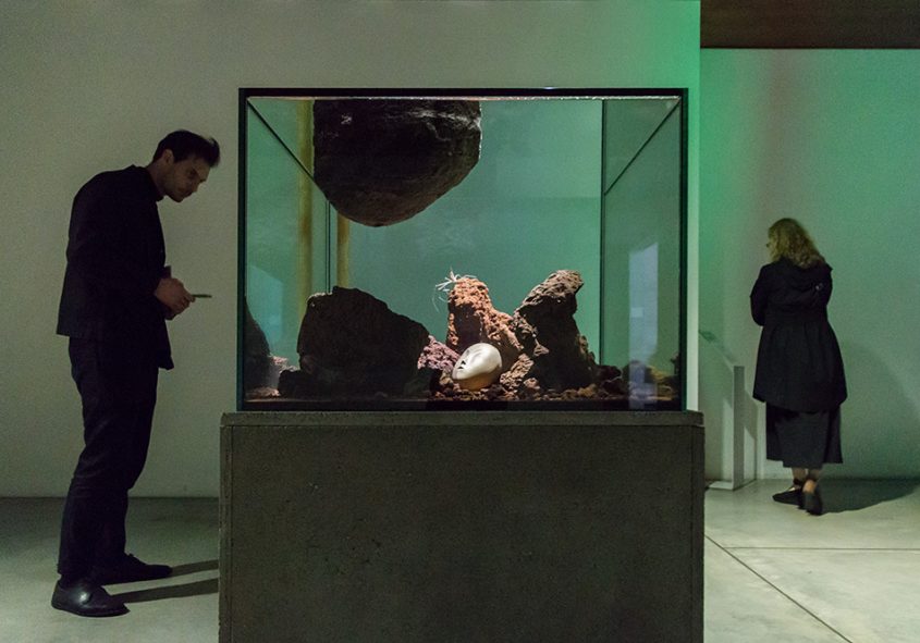 Venezia, Punta della Dogana / Pinault Collection,Exhibition "Pierre Huyghe. Liminal", Zoodram 6
