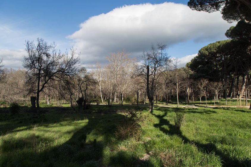 Real Monasterio de San Lorenzo de El Escorial, Parque y jardines de la Casita del Príncipe