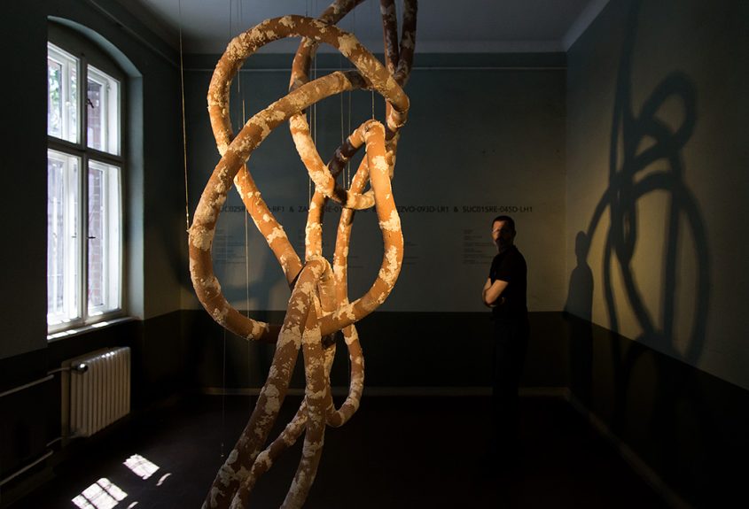 12. Berlin Biennale für zeitgenössische Kunst, 2025, Milica Tomić, Is there anything you are ready to give your life for? (Former Courthouse Lehrter Straße)