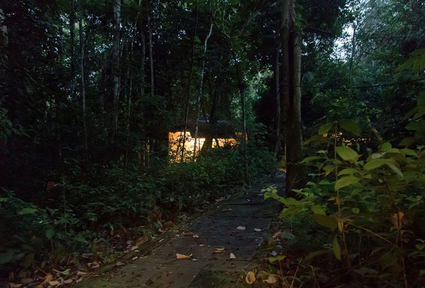 Ula Muda Forest Reserve, Earth Lodge Malaysia