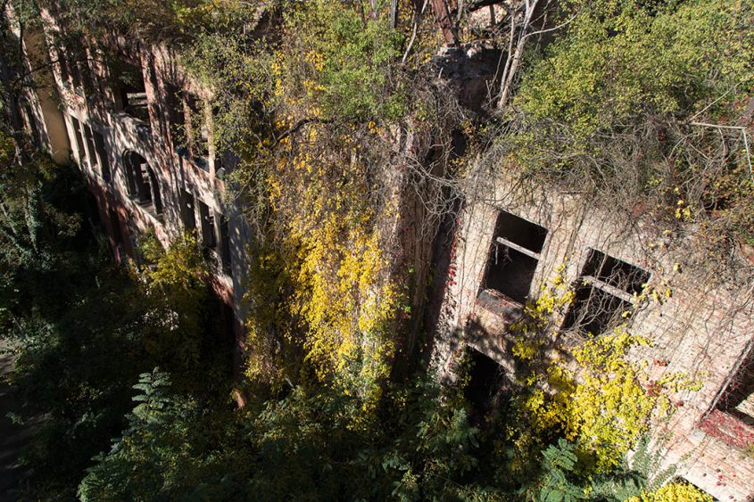 Beelitz Heilstätten, Blick vom Baumkronenpfad auf das Alpenhaus (View from Treetop Path to Alpine House)