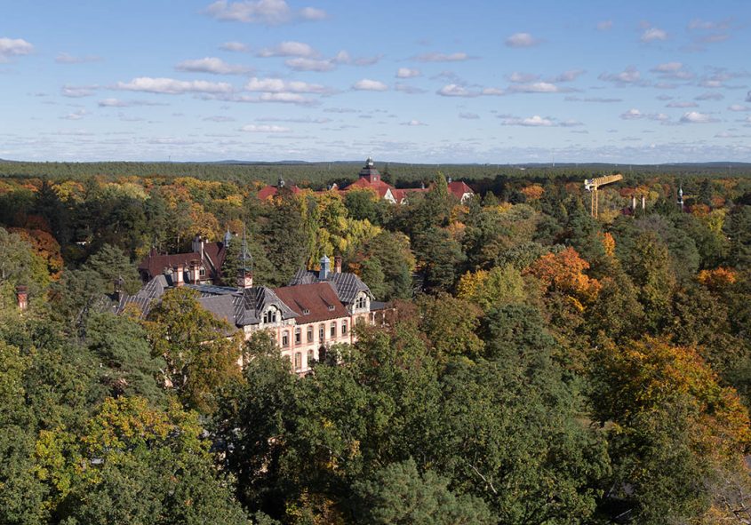 Beelitz Heilstätten, Blick vom Baumkronenpfad auf das Frauenhaus (View from Treetop Path to Women's Pavilion)
