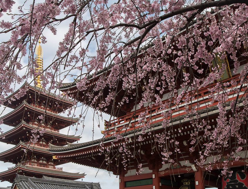 Tokyo, Asakusa, Asakusa, Sensō-ji and Five-Storied Pagoda