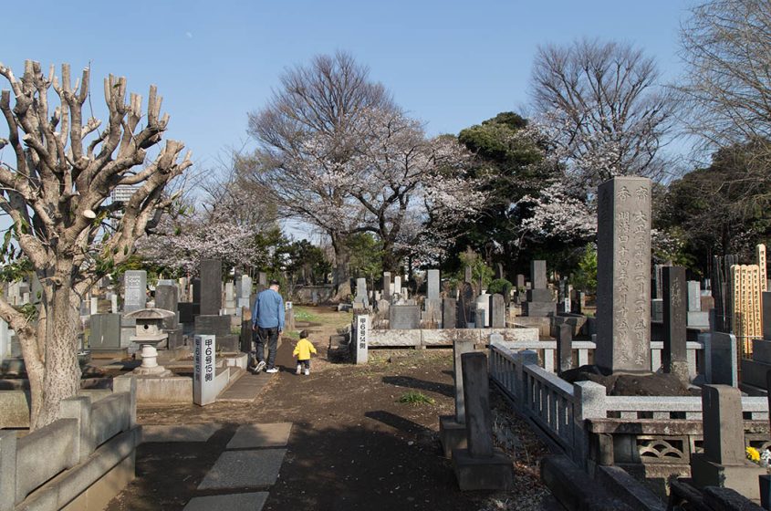 Tokyo, Yanaka Cemetery